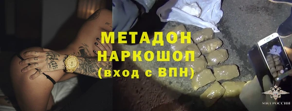 стаф Алексин