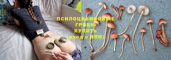 стаф Алексин
