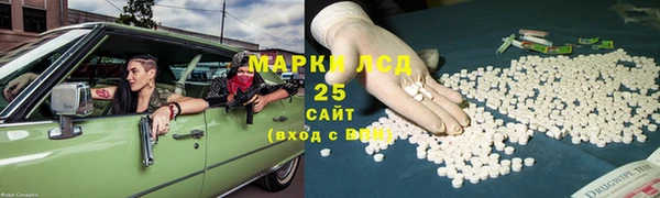 стаф Алексин