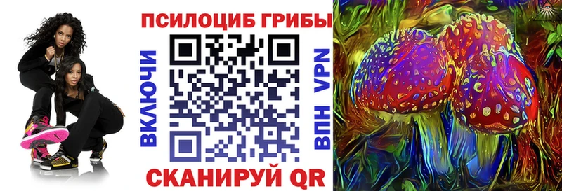 Галлюциногенные грибы прущие грибы  где купить наркоту  Барыш 
